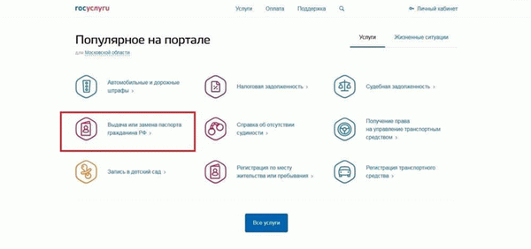 Замена паспорта по возрасту государственными органами