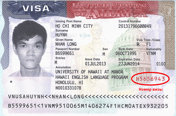Номер визы США: как и где его найти, и почему вы должны его знать