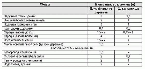 Правила и нормы