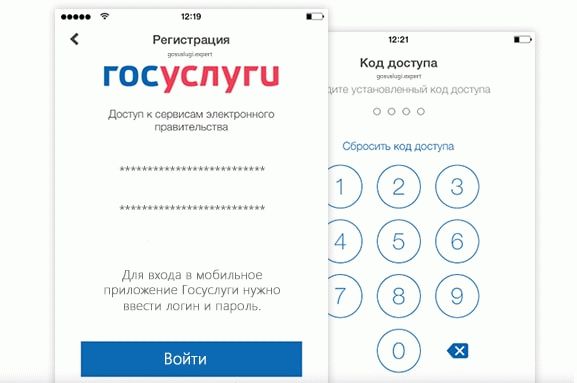 Вход в государственные услуги через мобильный телефон