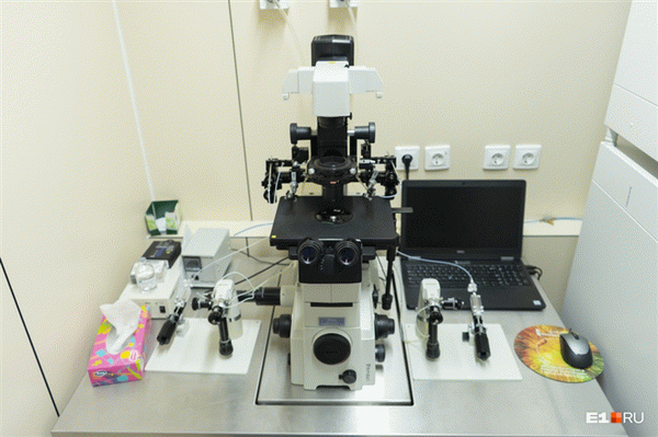 Это рабочее место эмбриолога в лаборатории. Здесь специальные оплодотворяют яйцеклетки спермой.
