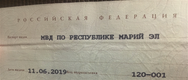 В паспорте все буквы без исключения пишутся с заглавной буквы.