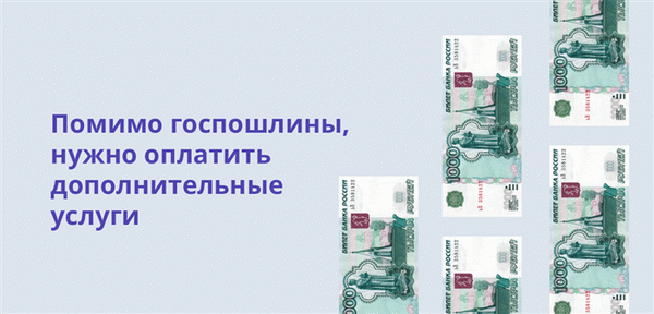 Помимо государственной пошлины, вам придется оплатить дополнительные услуги