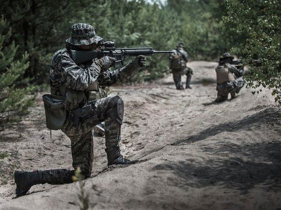 Военком ЛНР Андрей Марочко, ссылаясь на данные разведки, заявил, что представители 