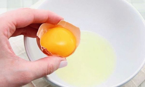 Как проверить яйца