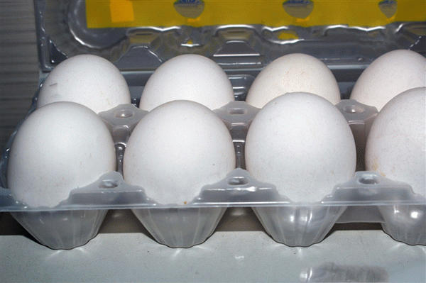 Укладка яиц в контейнеры