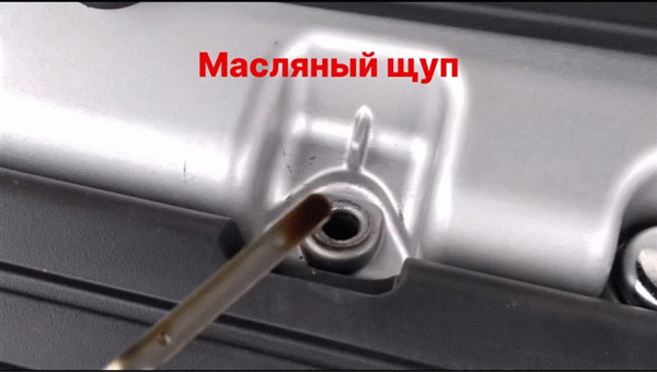 Индикатор масла