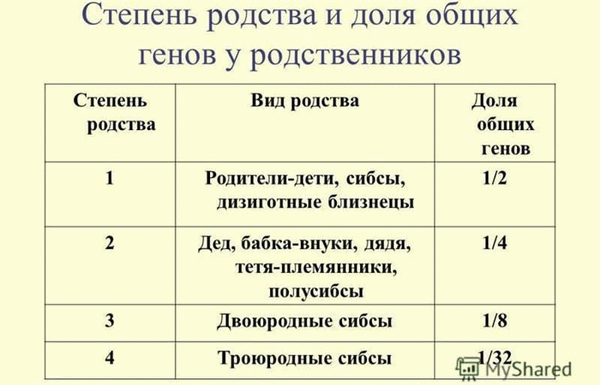 Что такое степени родства и как они определяются