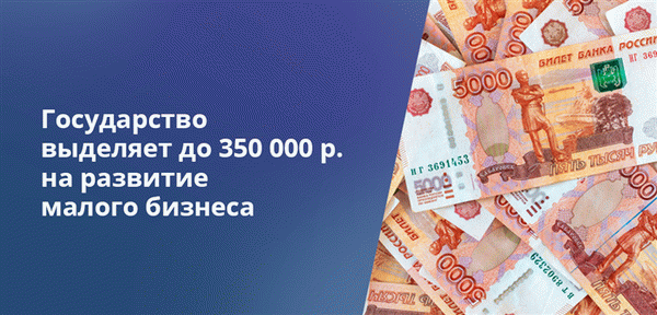 На развитие малого и среднего бизнеса государство выделяет до 350 000 рублей.