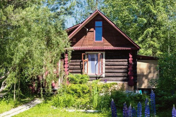 Старый дом с высокими деревьями в саду